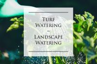 Turf & Landscape Watering